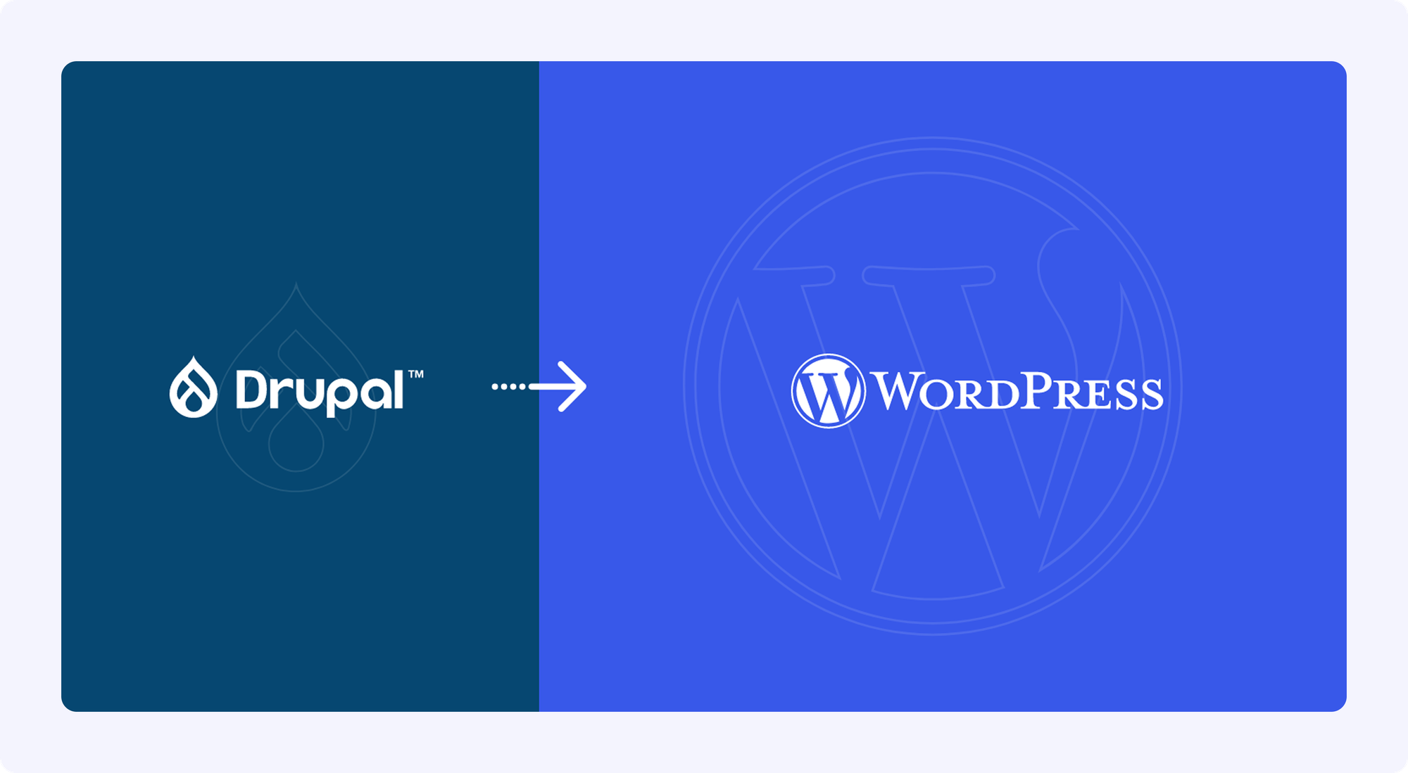 Behind the Build: NAB Show's Mission-Critical WordPress Migration